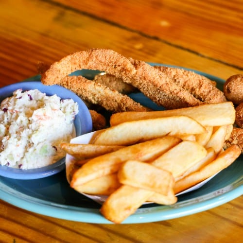 1 Piece Fish Filet Plate.