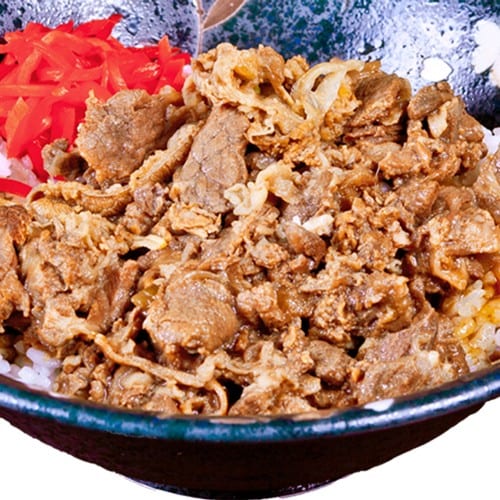 Gyudon Bowl.