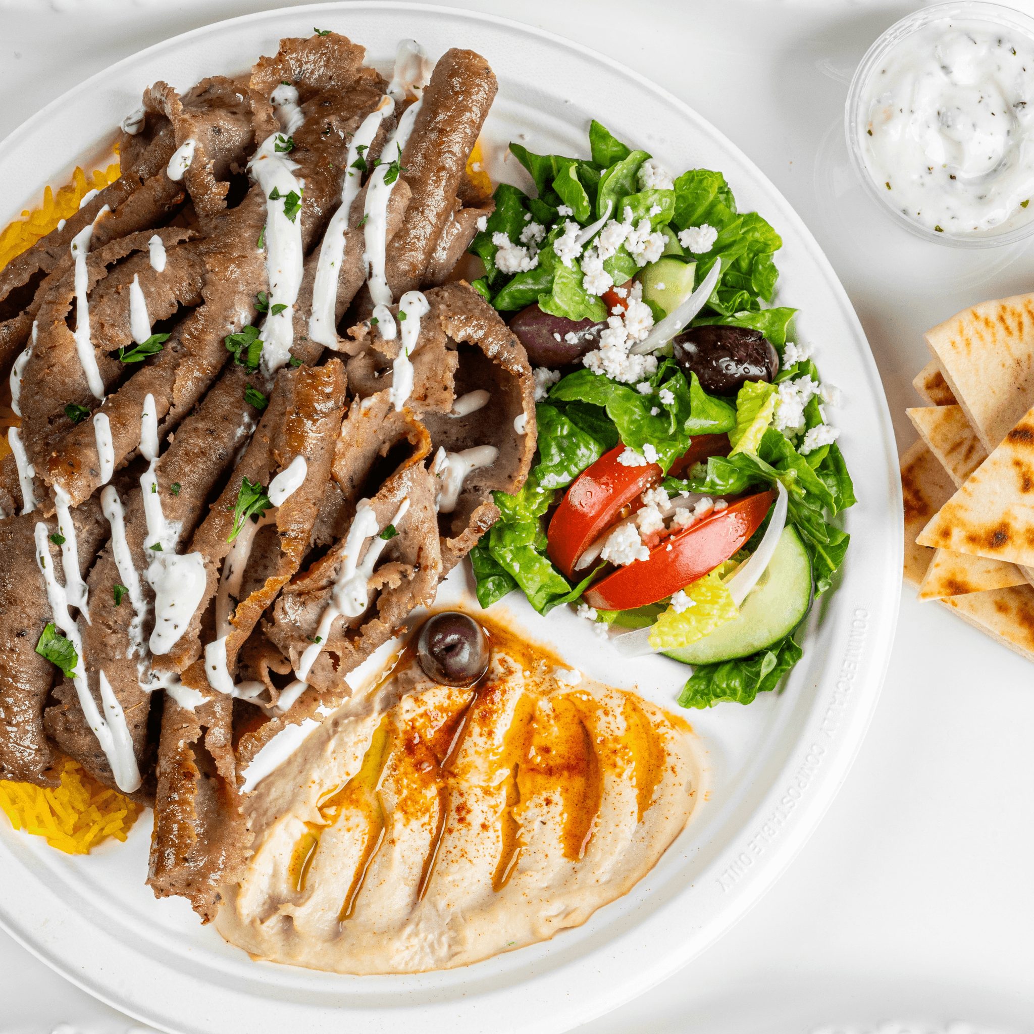 Gyro Plate.