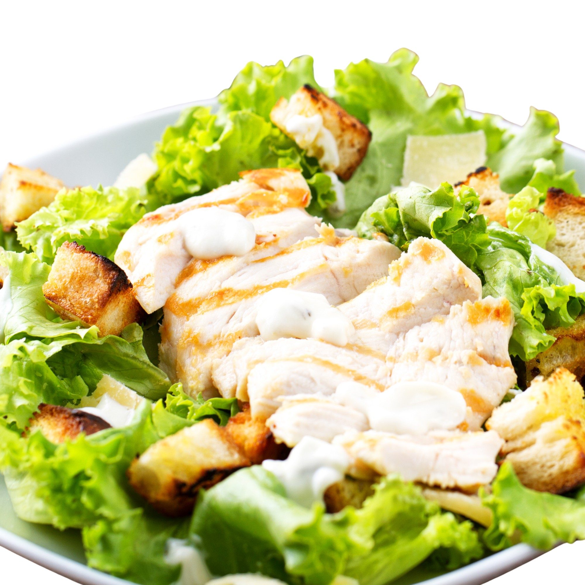 House Salad with Grilled Chicken.