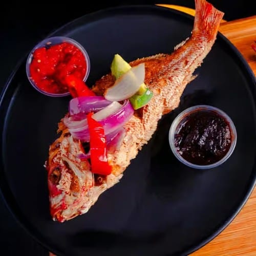 Red Snapper (Medium).