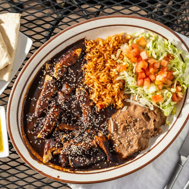 Savory Chicken Mole Enchilada Plate