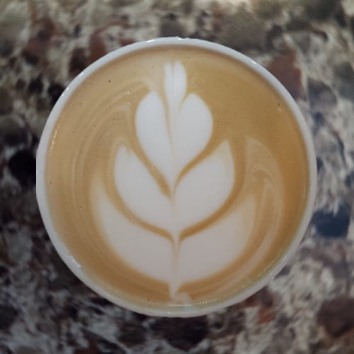 White Chocolate Symphony.