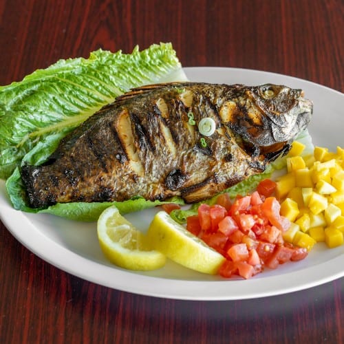 Tilapia.