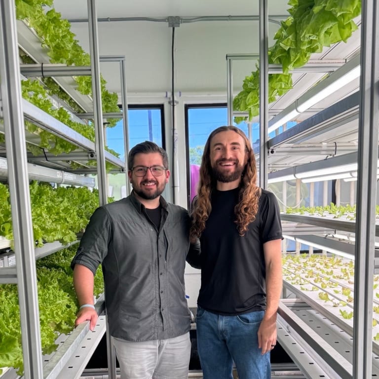 Swing By and Say Hello