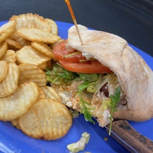 California Bird Saucer.