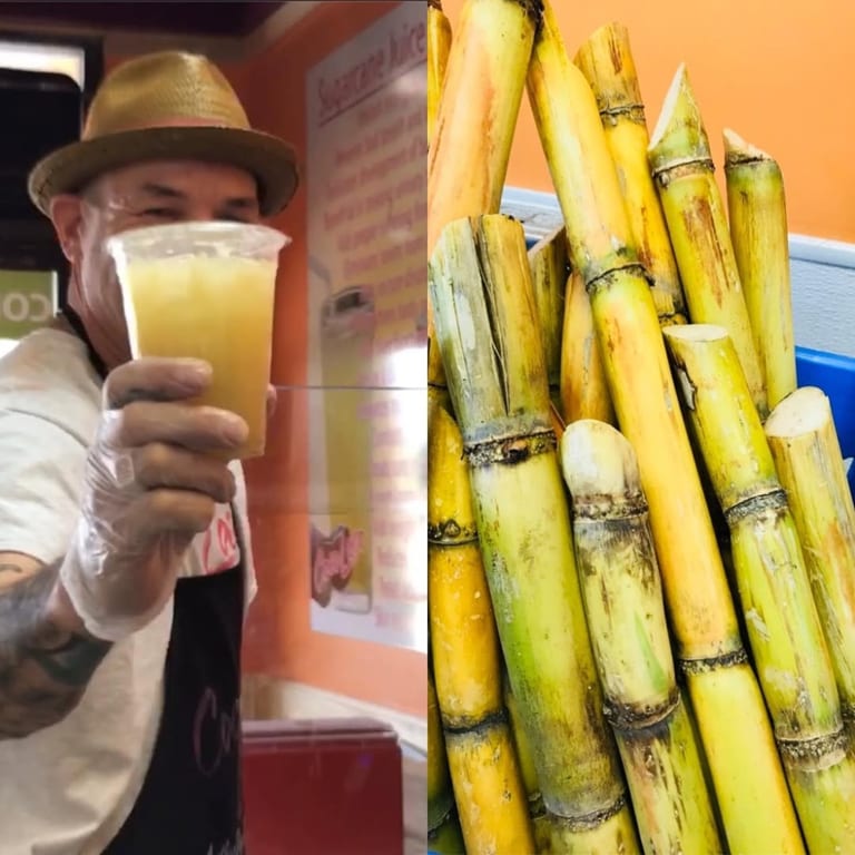 Fresh Ingredients for Your Health and Wellness