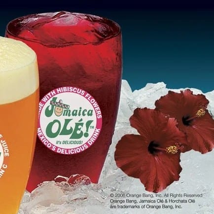 Agua Fresca Jamaica.