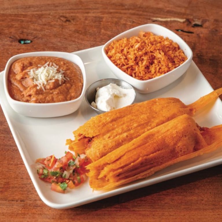 Birria Enchiladas: A Flavorful Mexican Delight