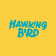 Hawking Bird