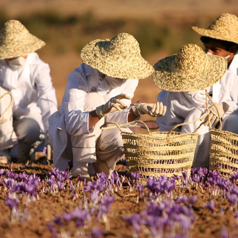 Empowering Women, One Saffron Thread at a Time