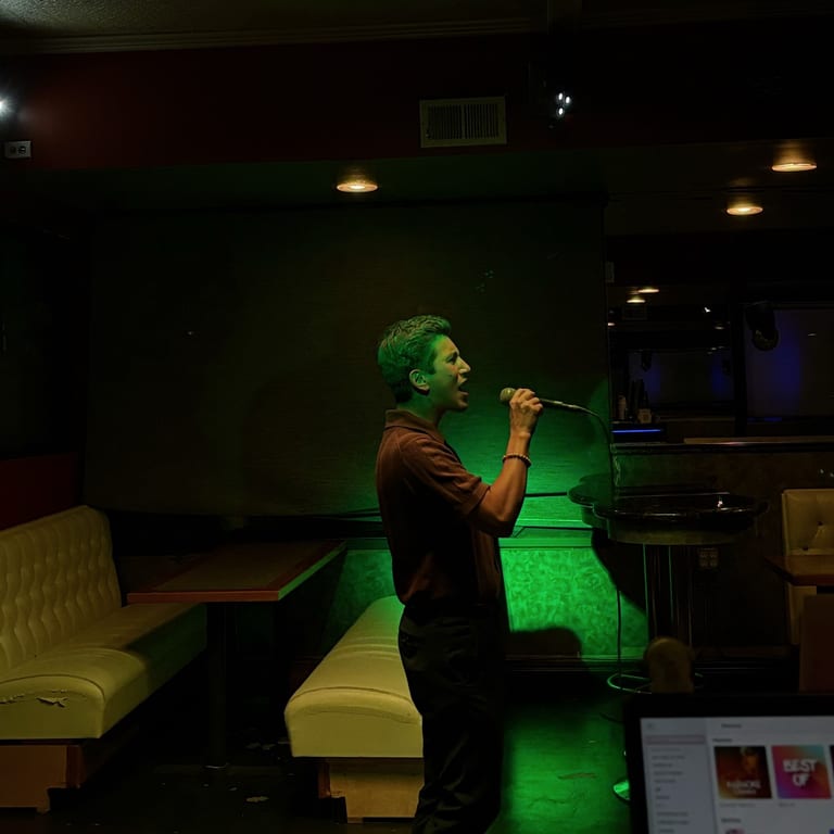 Sing Your Heart Out Every Night