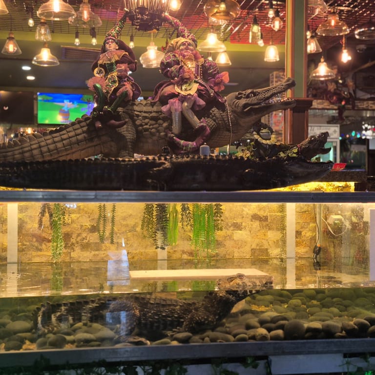 A Place For Everyone