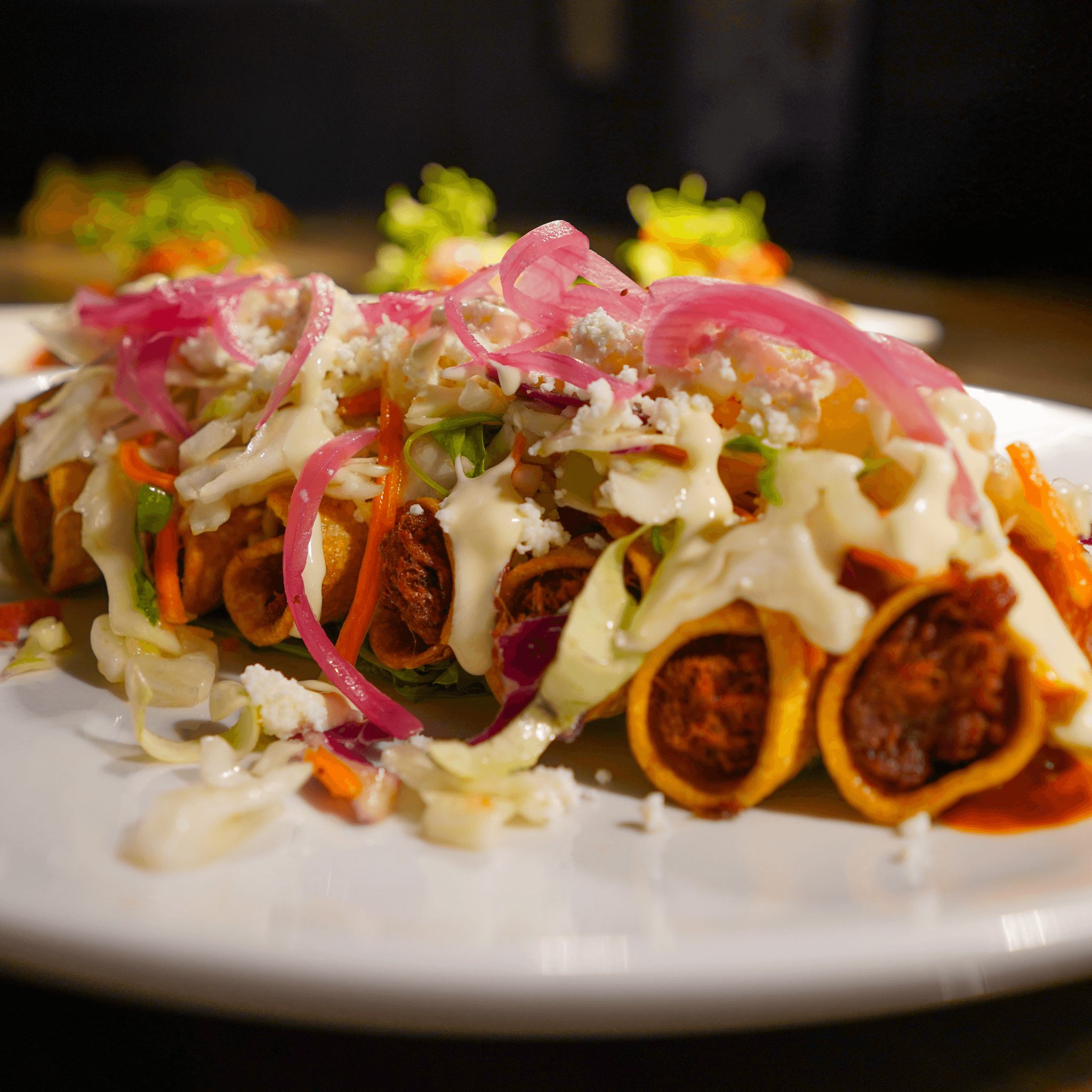 BEEF BARBACOA TAQUITOS.