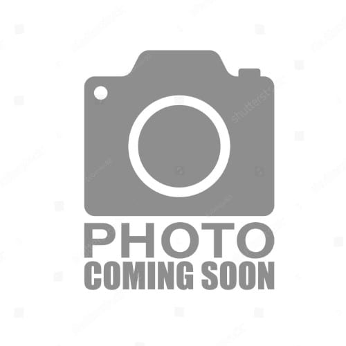 Chicken Breast Hormone Free.