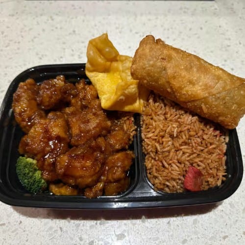 General Gaus Chicken Plate (Pick 2 Appetizer).