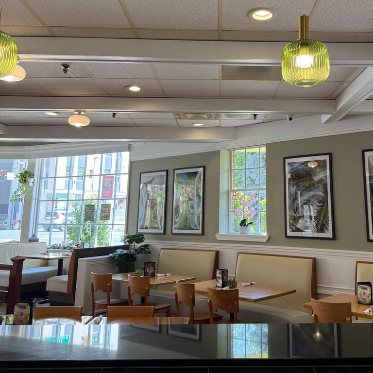 Looking for the Perfect Spot to Dine?