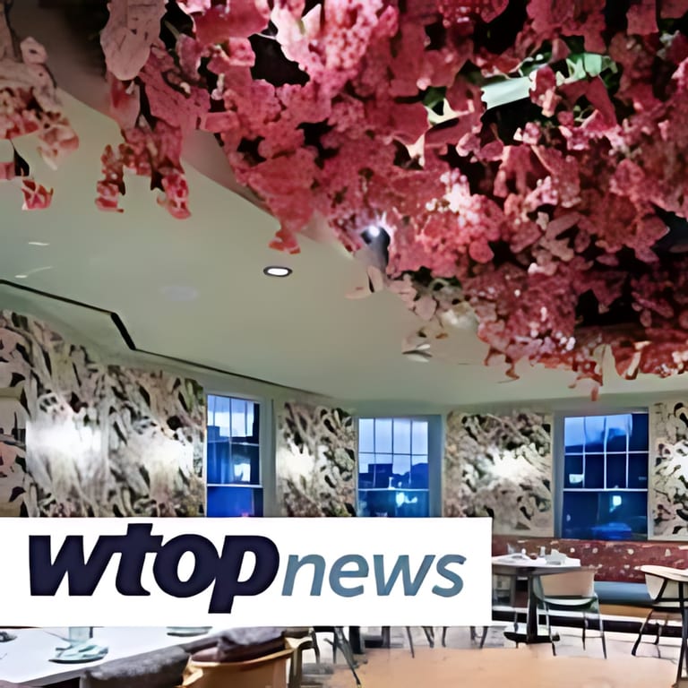 Cherry blossom-themed Menus