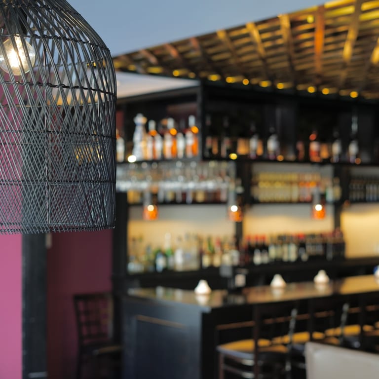 Our Services and Mission