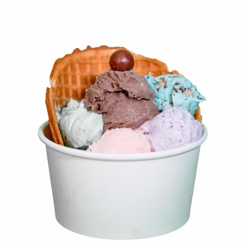 5 Scoop Sampler Waffle Bowl.