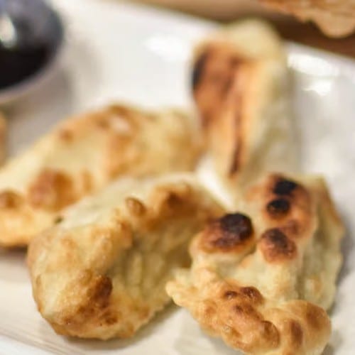 Pork Dumplings 豬肉鍋貼.