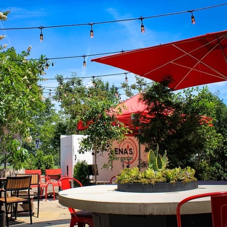 Cheers Under the Lights at Lena’s