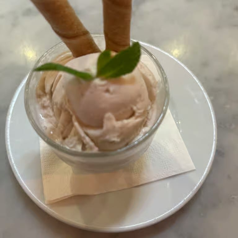 Vanilla bean gelato.