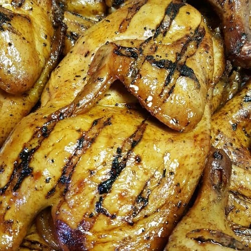 #1 Chicken Family Pack.