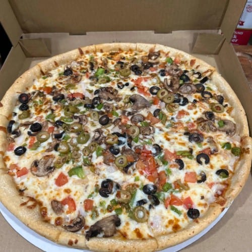 Vegetarian Special Pizza (Medium).