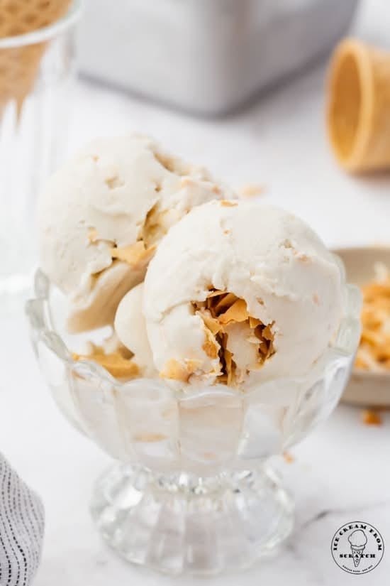Coconut Ice Cream.