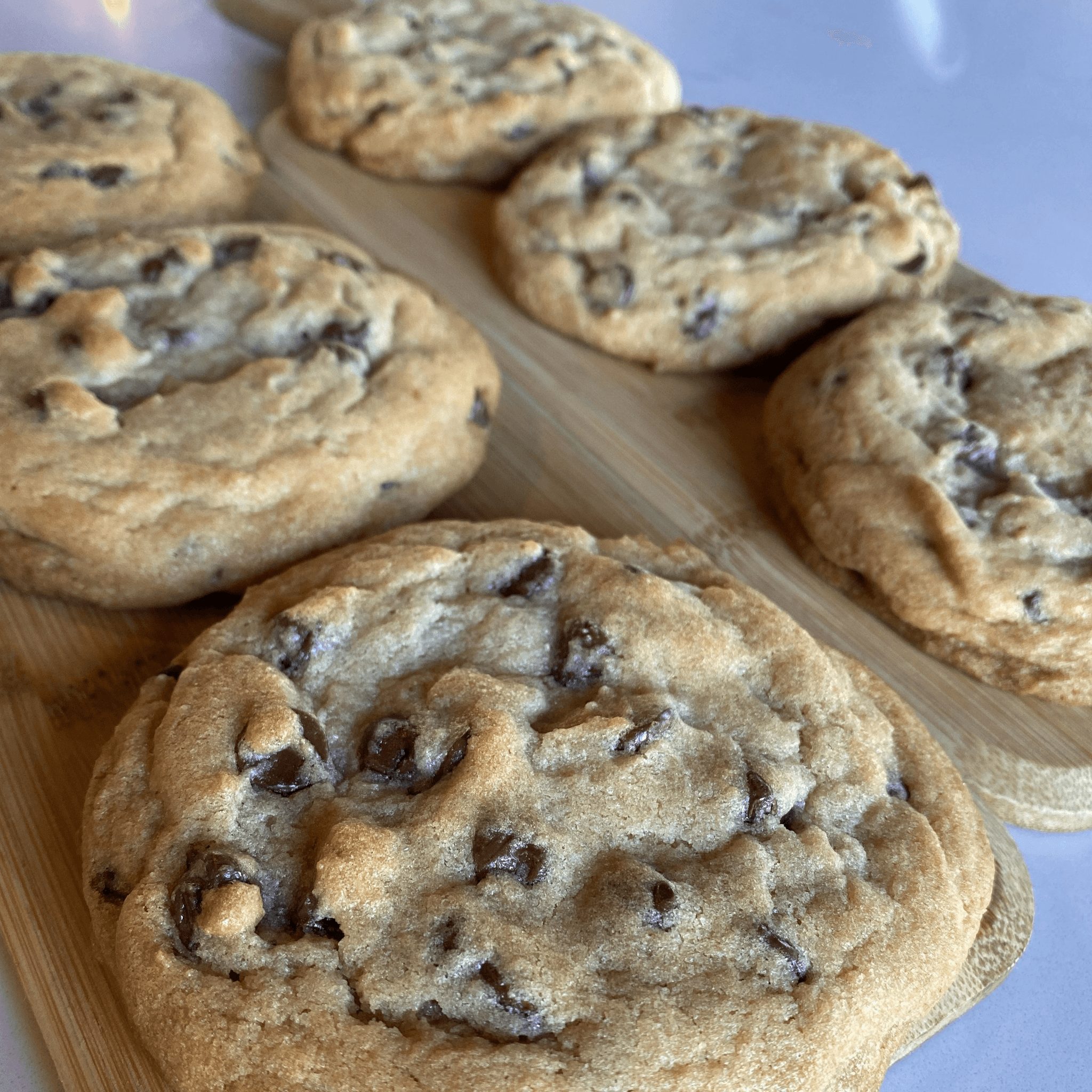 CHOCOLATE CHIP COOKIE WITH PECANS.