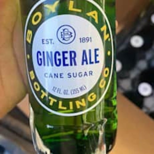 Ginger Ale (Sugar Cane).