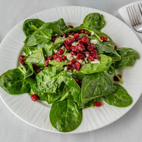 Spinach & Cranberry Salad Large.