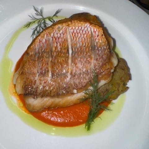 Red Snapper Fillet.