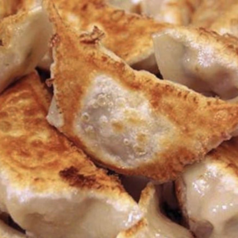 Fried Dumplings.