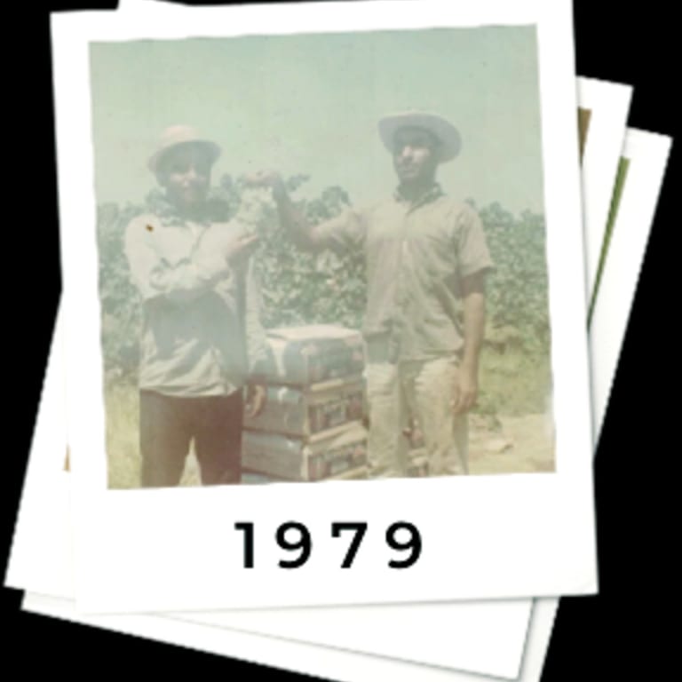 Dream to Reality: The First Frosty King