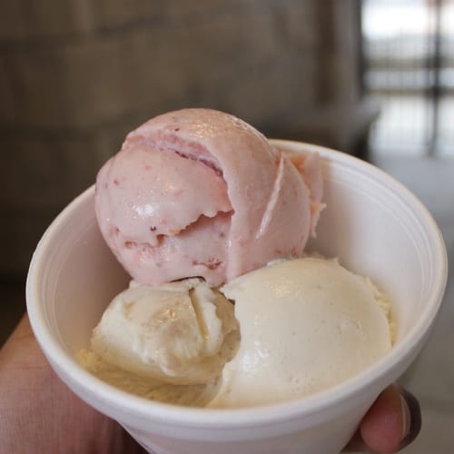 Vegan Ice Cream (Small).