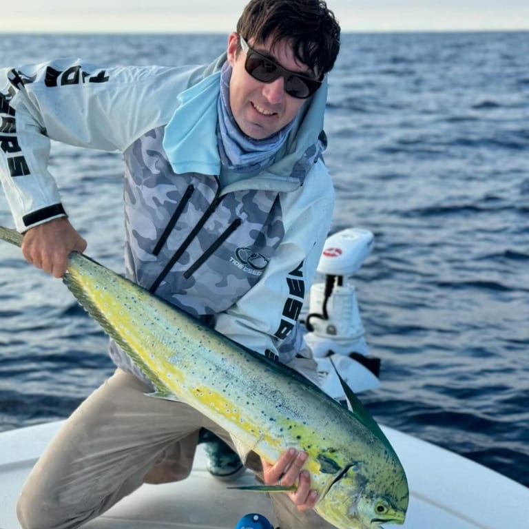 Fresh, High-Quality Ingredients