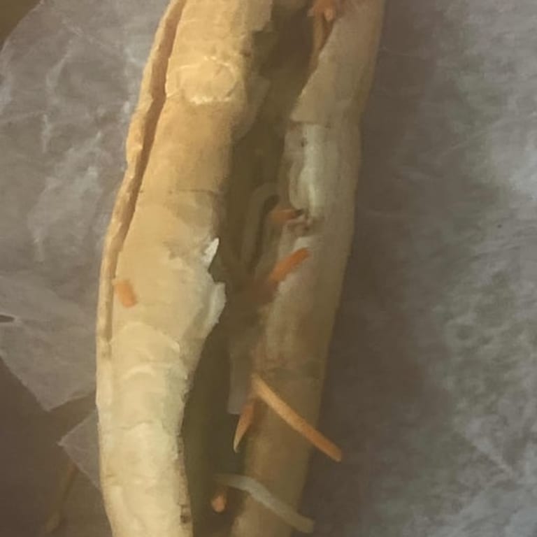 Grilled Ga Nuong: Vietnamese Chicken Delight