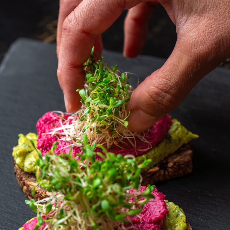 Bring Vida to Your Next Event