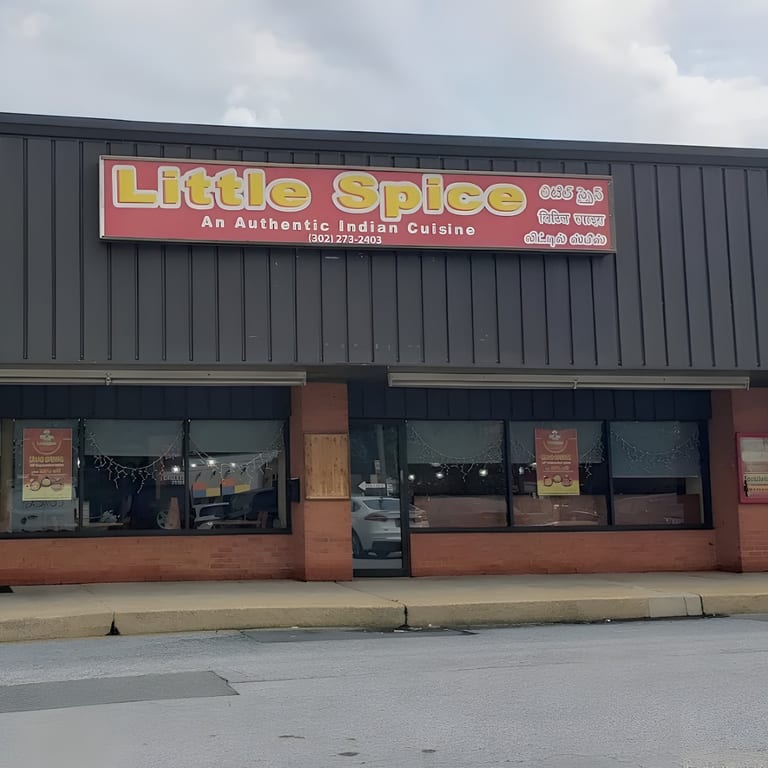 Little Spice Indian Cuisine – Newark