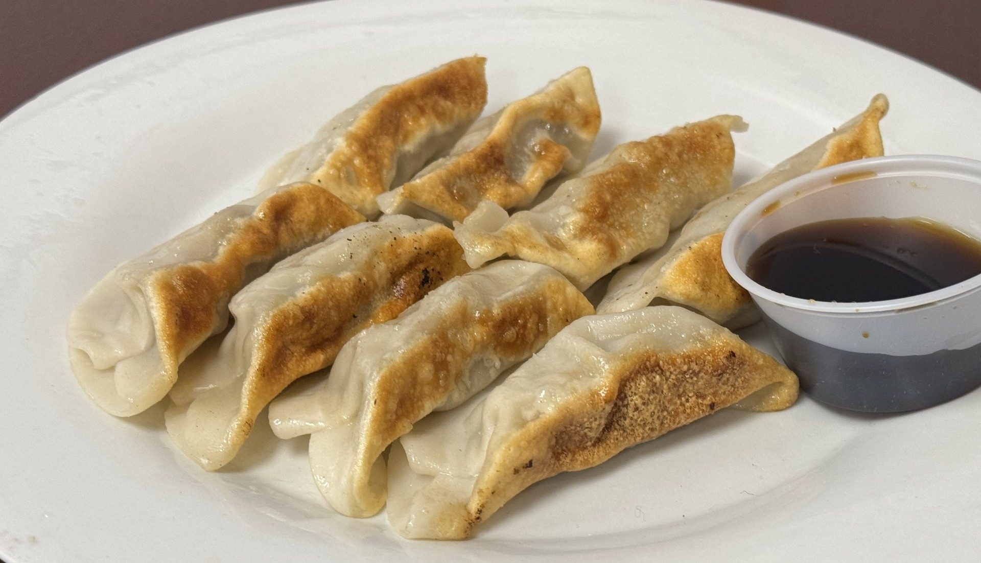 Chicken Dumplings.