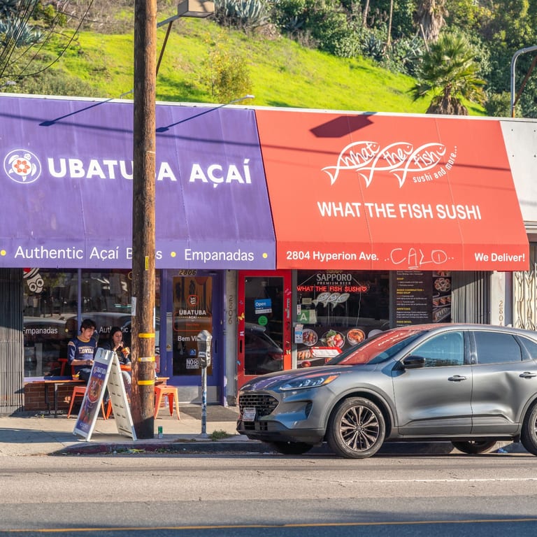 Welcome to What the Fish