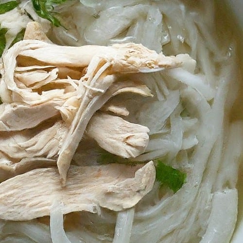 Kid Chicken Pho.