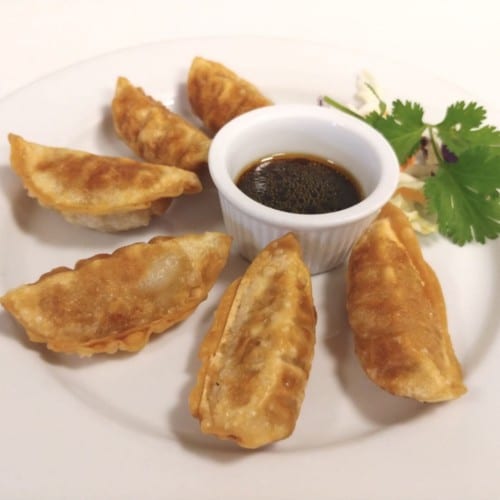 Fried Chicken Dumpling.