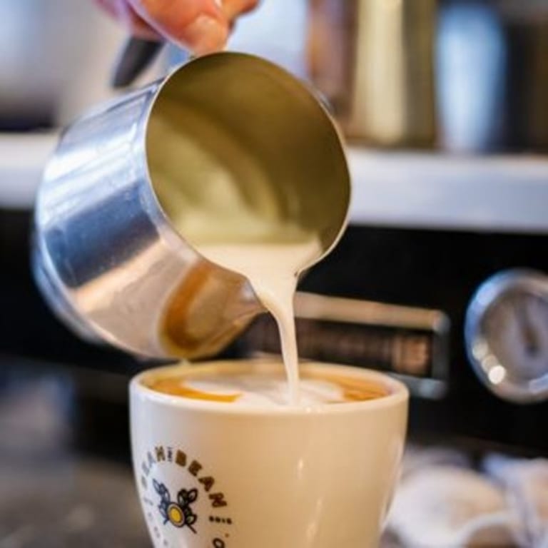 Indulge in Our Creamy Latte Selection