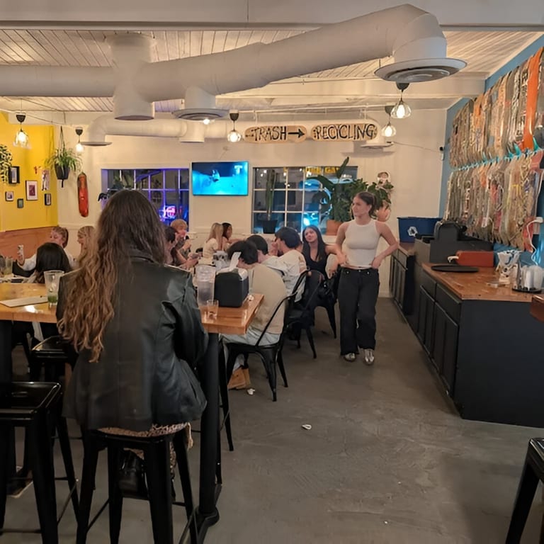 The Shreddy’s Experience