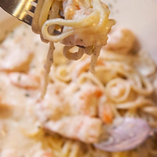 Chicken Alfredo.