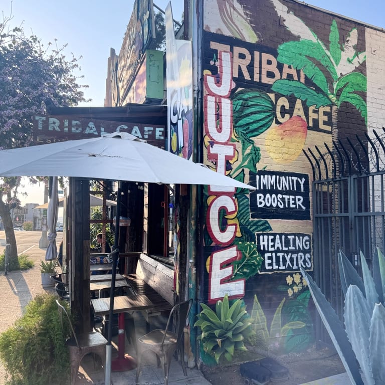 Welcome to Tribal Cafe 🌿 Your New Favorite Spot.