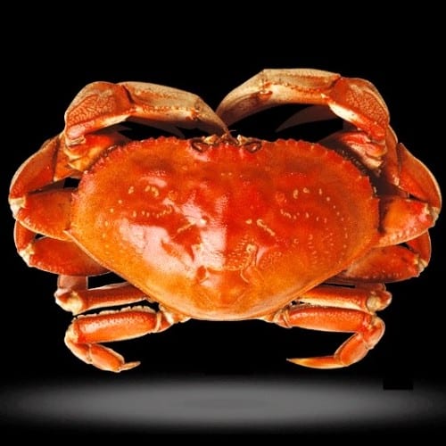 Dungeness Crab (1.9-2.2 lbs).
